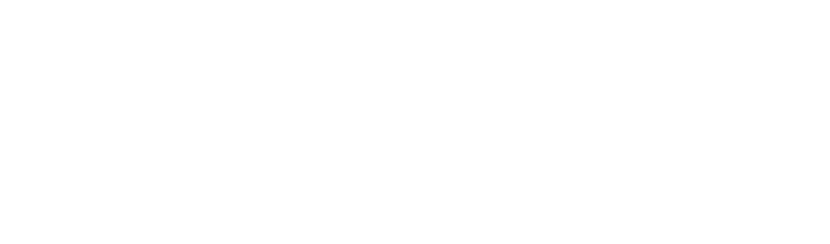 Voiz logo